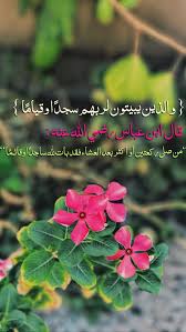 pin by لعلكم ترحمون on خلفيات دينية islam photo plants