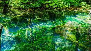 陽射しを浴びて輝く湖沼群を見に行きませんか 世界遺産白神山地 十二湖 のみどころ キナリノ 十二湖 世界遺産 世界