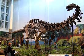 Struggle to survive ll, ll, ll 3. Sauropoda Wikipedia