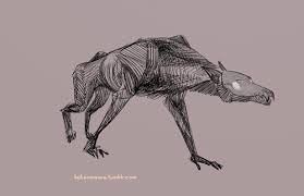 Katieomeara Animation Sketches Animation Art Animation