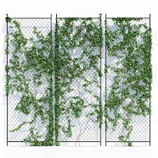 Ivy Wall 3d Model Modern Design Mur De Lierre Facade Verte Jardin De Petit De Balcon
