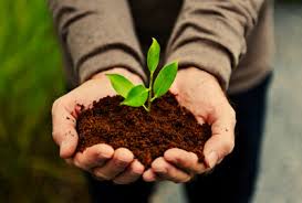 Thirsty plants are mopey plants—keep them hydrated with nature's care organic & natural potting mix with water conserve. It Is Time To Get Serious About Organic Farming Bs Ranch Farmbs Ranch Farm