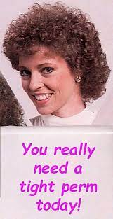 Pin By Debbie On Perm 80s Big Hair Permed Hairstyles Permanent Curls
