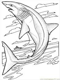 We did not find results for: Bull Shark Pictures To Color