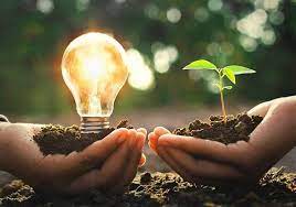 Sustainable packaging coalition: BusinessHAB.com