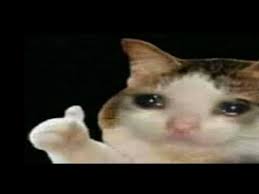We did not find results for: Thumbs Up Crying Cat Know Your Meme
