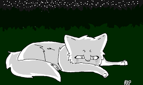 You Just Gotta Let It Go Depressed Cat Linea By Infuriatedpotatoes On Deviantart F2u warrior cat base *plz read comments*. you just gotta let it go depressed