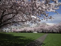 Capital In Salem Oregon Salem Oregon Oregon Salem