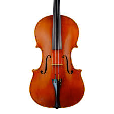 Image result for Viola eminii