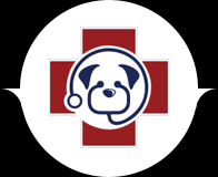 How do i find urgent care near me? Veterinarian In Sewell And Deptford Nj Pet Check Urgent Care