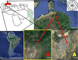Maybe you would like to learn more about one of these? Ubicacion Geografica De Coro 11 24 De11 24 De Latitud Norte Download Scientific Diagram