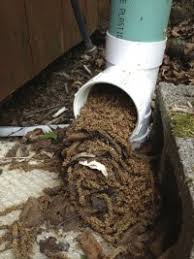 Alternatively, you can run the water through a coffee filter to. Harvesting Rainwater For Indoor Use Ecohome