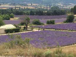 „wir wollten ein friesenhaus, das komplett nach einem friesenhaus aussieht und nicht nur einfach einen friesengiebel hat, erzählt bauherr florian über die hausbauplanung. Provence Mt Ventoux Haus Mit Charme Home Facebook