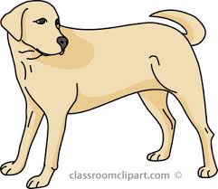 Digital dog clip art, illustrations, art, and images using clipart image search. Clipart Dog Clipart Cliparts For You 5 Cliparting Com