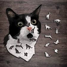pin on puzzels
