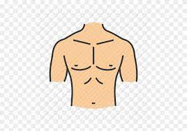 Chest as in the body part, in spanish is pecho. Body Parts Aroung The Chest Bones And Skeleton Learn Biology Class 6 Amrita Vidyalayam Elearning Network Learn Vocabulary Terms And More With Flashcards Games And Other Study Tools Lensa Akupuntatau