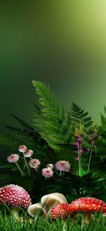 The flower wallpapers also work well as background pictures for your iphone or android smartphone. Flower Hd Phone Wallpaper 029 Nature Flower Wallpaper Hd Download 1080x2340 Wallpaper Teahub Io