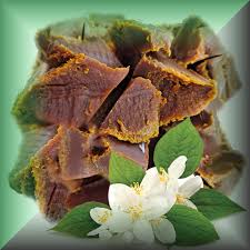 Image result for Jasminum grandiflorum