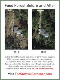 Food Forest Before And After Overhead Edition The Survival Gardener Permaculture Gardening Food Forest Forest Garden