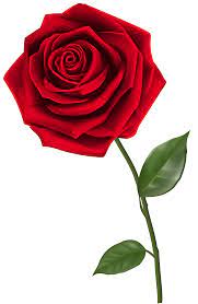 Single Red Rose Png Clipart Image Gallery Yopriceville High Quality Images And Transparent Png Free Cli Red Rose Png Single Red Rose Rose Flower Wallpaper