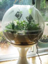 Large Terrarium Globe Fifties Google Search Terrarium Large Terrarium Globe
