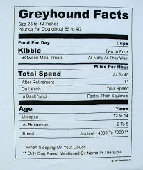 Have Fun Here At Http Sharphumor Com Category Funny Greyhound Greyhound Tattoo Grey Hound Dog