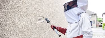 If you have a nest near your home, it's important to remove it. How To Get Rid Of Wasps Hornets Ehrlich Pest Control