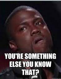You're something else you know that? - Kevin Hart - quickmeme