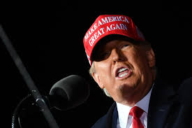 Trump's boast he'll win N.Y. in election leaves residents in stitches