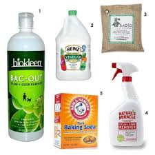Biokleen Bac Out Stain And Odor Remover Rethink The Stink 5 Odor Removing Products No Home Should Be Without Cleaning Odor Remover Cleaning Hacks