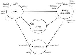 Black And Decker Digital Advantage Iron Won T Turn On Processes Free Full Text Use Of Nanotechnology For The Bioremediation Of Contaminants A Review Html