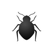 Pest services company offers wildlife trapping and relocation services. Paske Pest Control Wildlife Solutions St Louis Pest Control Wildlife Solutions