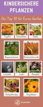 Kinder Und Tiersichere Pflanzen Fur Den Garten Unsere Top 10 Pflanzen Garten Pflanzen Kinderfreundlicher Garten