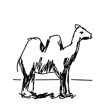 Den har även introducerats i australien. Wie Zeichnet Man Kamel Lerne Zu Zeichnen Von Anderen Letsdrawit Spielern
