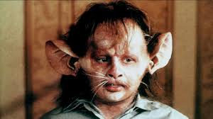 Watch the witches online full movie, the witches full hd with english subtitle. Film The Witches Into Film