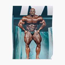 Are the vector and image files marked free really free for download? Huge Bodybuilders Posters Redbubble