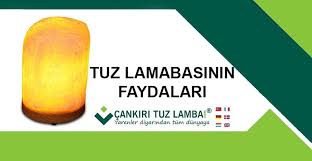 Tuz Lambasi Faydalari Nelerdir Tuz Saglikli Yasam Bilgi