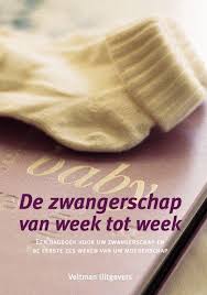 Bol Com De Zwangerschap Van Week Tot Week