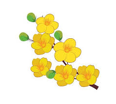 Green watercolor watercolor flowers flower backgrounds abstract backgrounds field meals rainbow clipart flower invitation lunar new flower frame. Yellow Apricot Flower Traditional Lunar New Year In Vietnam Clipart Image