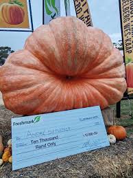 Image result for giant pumpkin
