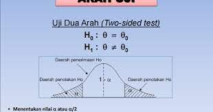 Contoh dari komunikasi satu arah ini antara lain pemberian tugas atau perintah dari atasan pada bawahan, siaran televisi noninteraktif, dan informasi diinternet. Desty Misnandani Pengujian Hipotesis Dan Contoh Soal One Tail Two Tail