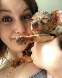 𝐻𝒶𝓏𝑒𝓁 (@hazel_theminiwiener) • Instagram photos and videos