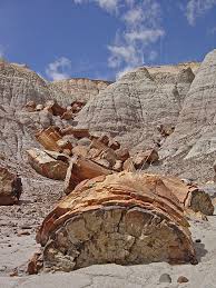 Petrified Forest National Park Arizona Petrified Forest National Park Petrified Forest National Parks