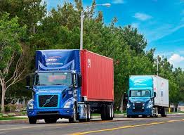 Image result for Tree Green 2018 Fleet