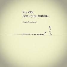 kus olur sen ucusu hatirla furug ferruhzad sozler anlamlisozler guzelsozler manalisozler ozlusozler alint guzel soz bir sozleri ayrilik sozleri