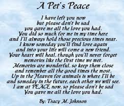 Pet Loss Holistic And Organix Pet Shoppe Dog Loss Quotes Dog Poems Pet Poems