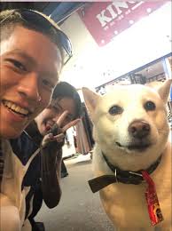 Hi everyone, We are a couple looking for a room or house or somewhere to  sleep during the harvest season. We are going to work in Narromine probably  until Christmas, so we