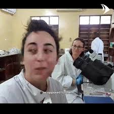 MSc Tropical Disease Biology by Dr James Lacourse