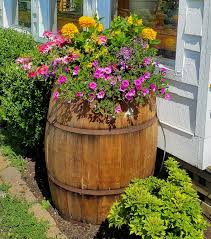 Explore other popular stores near you from over 7 million businesses with over 142 million reviews and opinions from yelpers. How To Show Off Your Garden Flowers Using Thrift Store Finds Shiplap And Shells