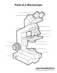 Microscope Diagram Unlabeled Jpg 927 1 200 Pixels Science Printables Science Diagrams Biology Labs